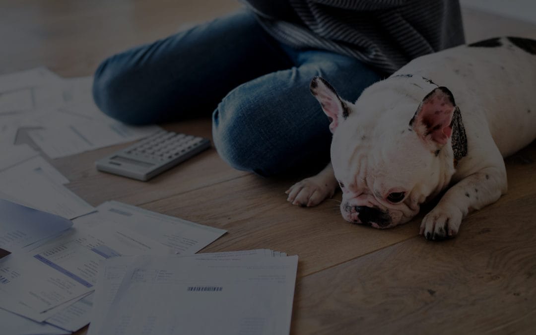 INSOLVENCIA Y REESTRUCTURACIONES