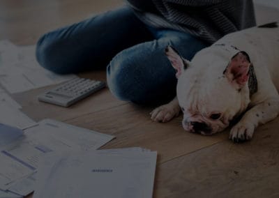 INSOLVENCIA Y REESTRUCTURACIONES